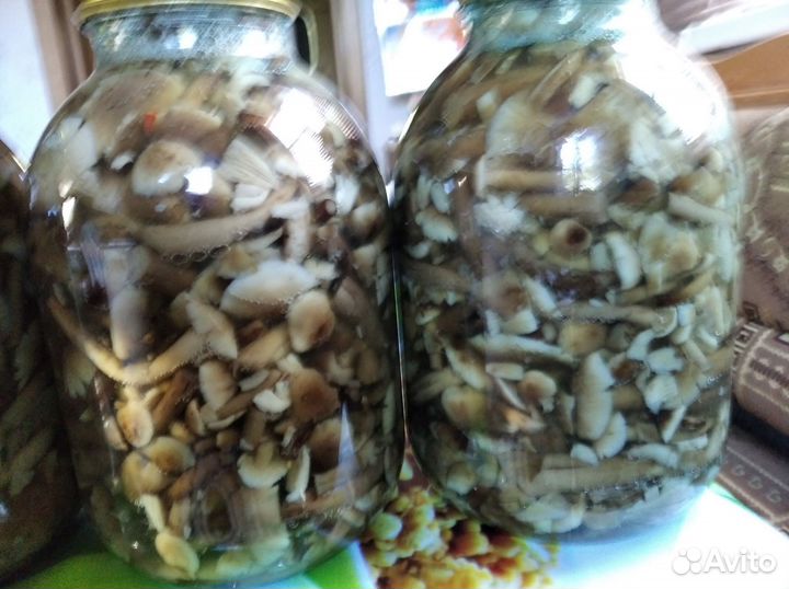 Грибы опята маринованные