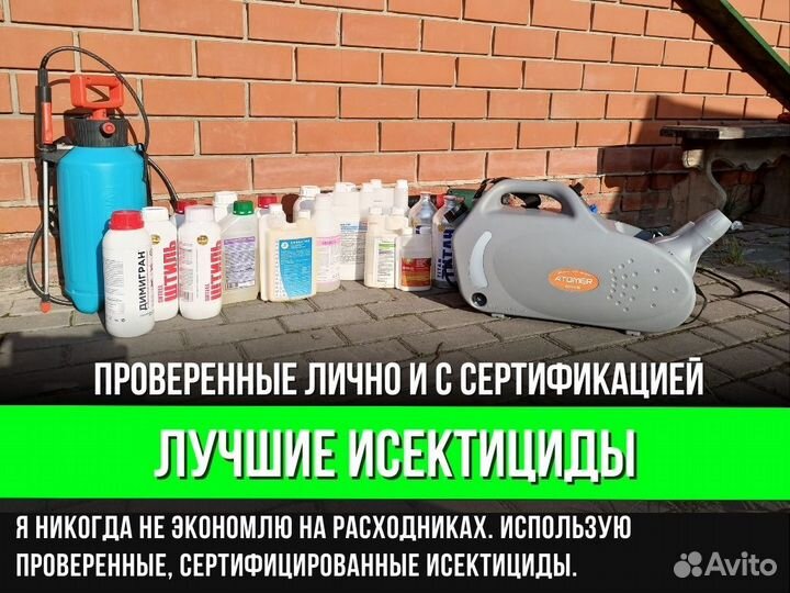 Уничтожение тараканов, уничтожение клопов