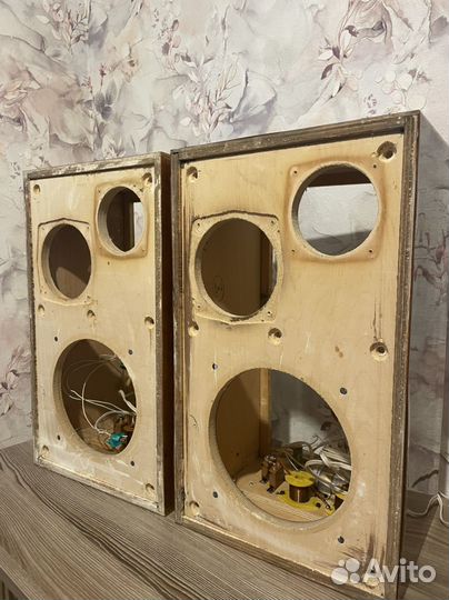 Колонки вега 25ас 109