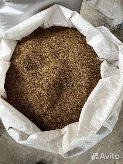 Семена люцерны