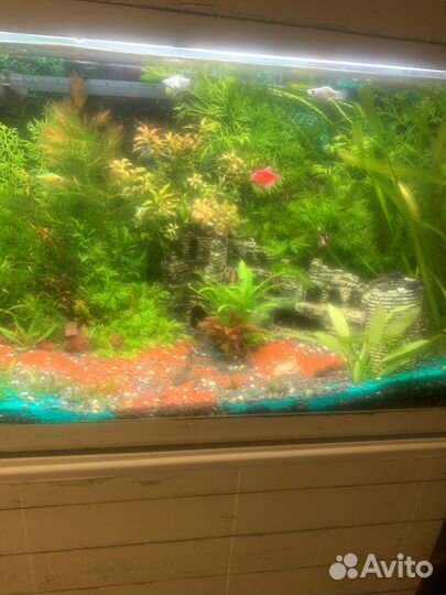 Аквариум с тумбой