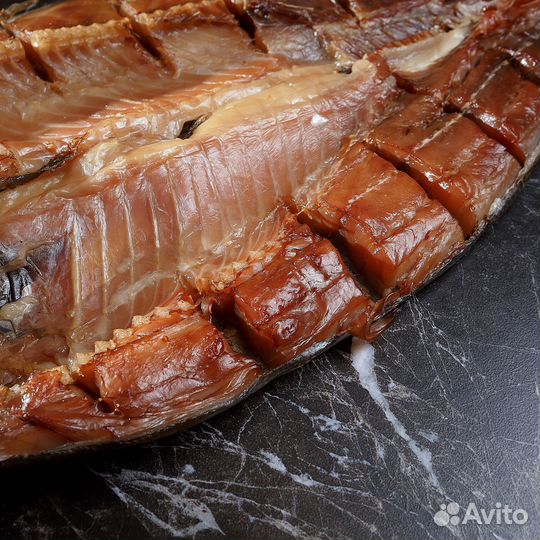 Толстолоб Донской