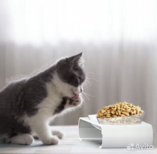 Двойная миска для животных (кошек, собак)