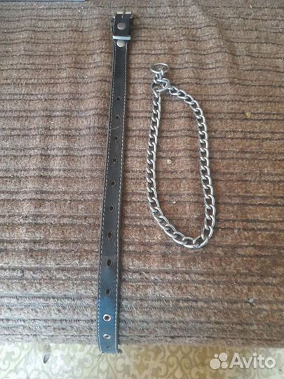 Два ошейника