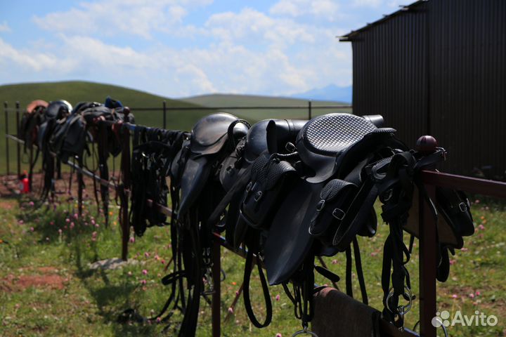 Конные туры в Бийчесыне