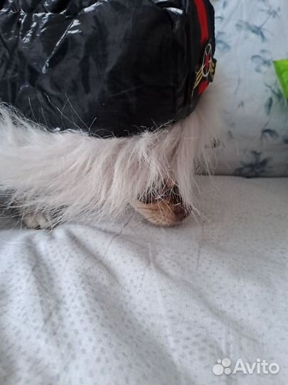 Зимний костюм для собачки