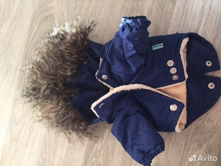 Вещи для маленьких собак