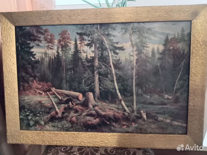 Репродукция с картины Шишкина 