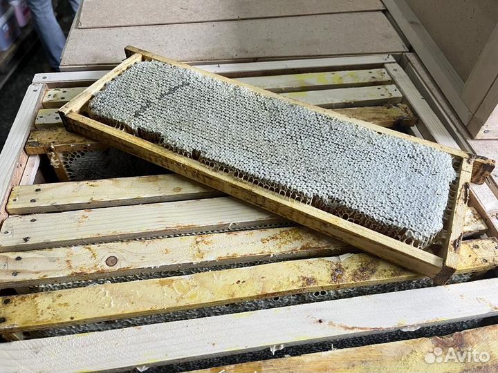 Мед сотовый Свежий урожай