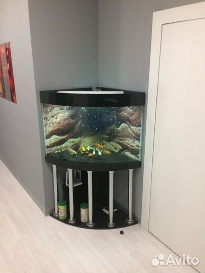 Аквариум угловой 150л