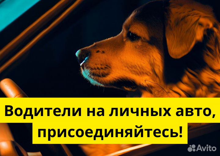 Личный транспорт и работа в Яндекс.Go