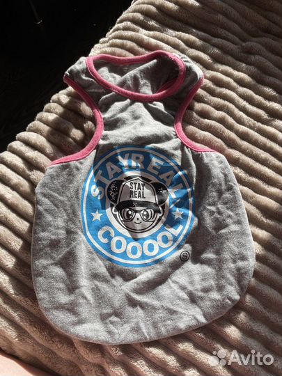 Одежда для собак