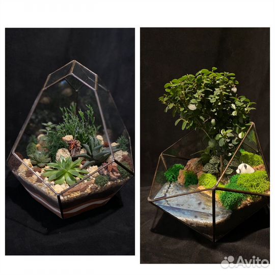 Флорариум,цветочная композиция