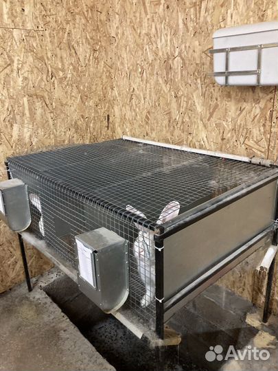 Кролики, Клетки