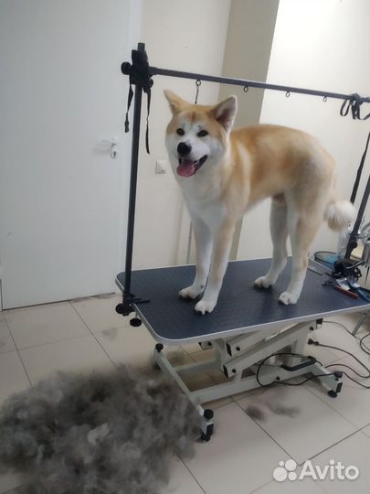 Стрижка.Экспресс- линька собак и кошек