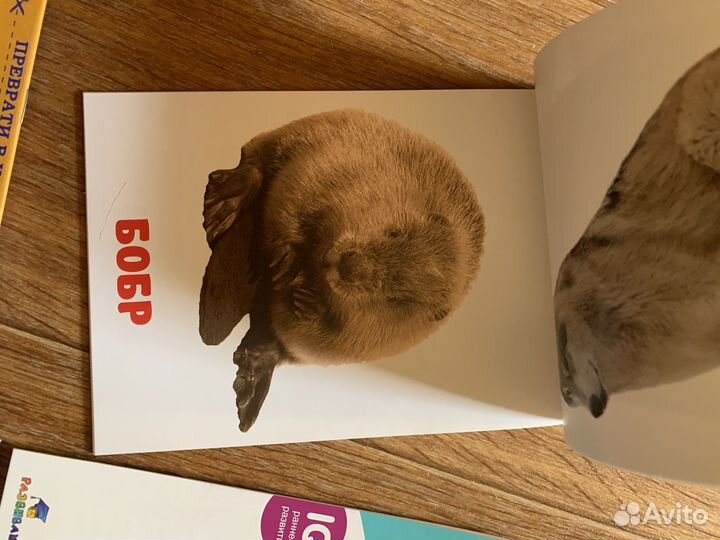 Набор развивающих карточек для детей