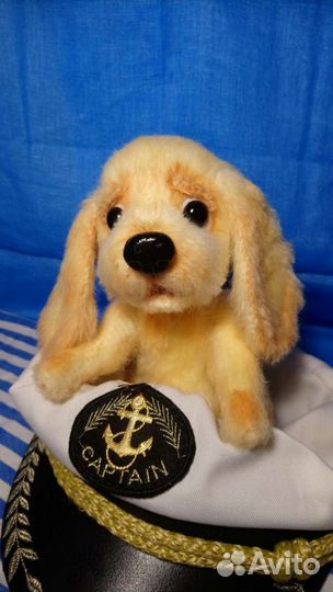 Спаниелька