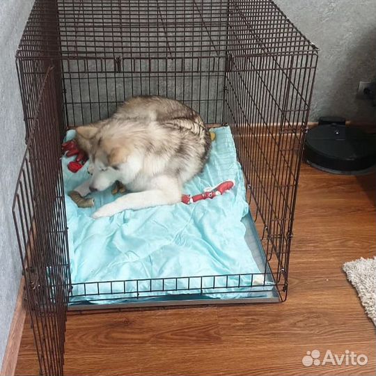 Клетка для собак