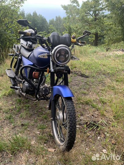 Альфа Спорт