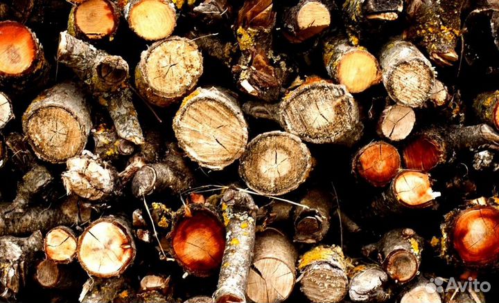 Дрова с Выборга