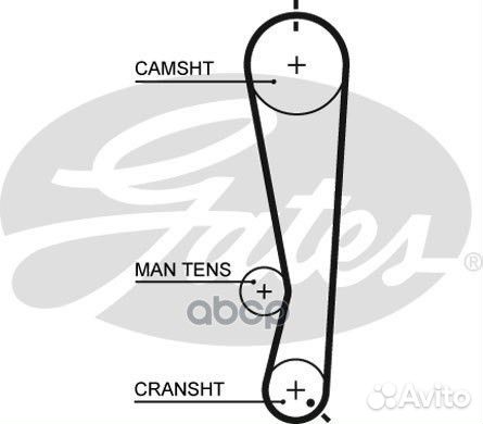 111x25 Ремень грм 5591XS Gates