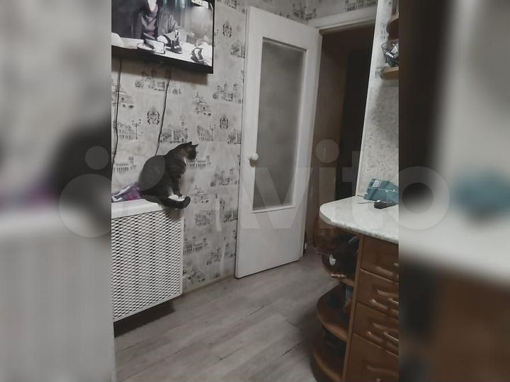 Аукцион: 1-к. квартира, 34,7 м², 1/5 эт.