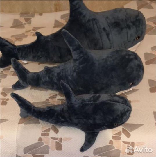 Акула мягкая