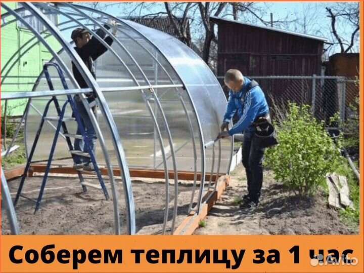 Теплица 3 на 8