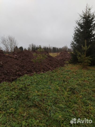 Земля на подсыпку Лужский район