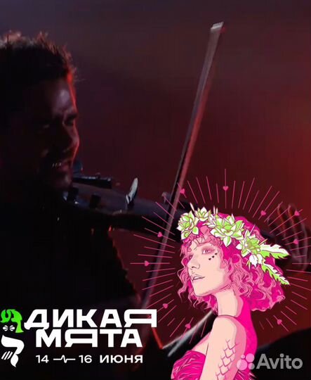 Билет на 3 дня на фестиваль Дикая мята + трансфер