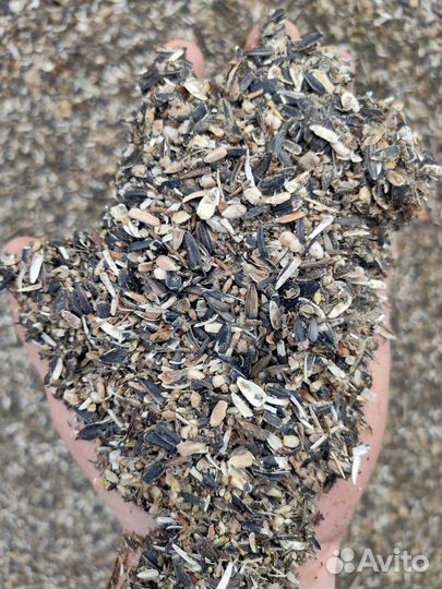 Продам зерновые отходы