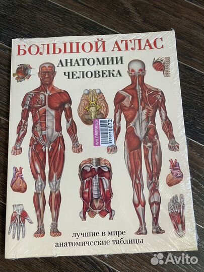 Большой атлас анатомии человека