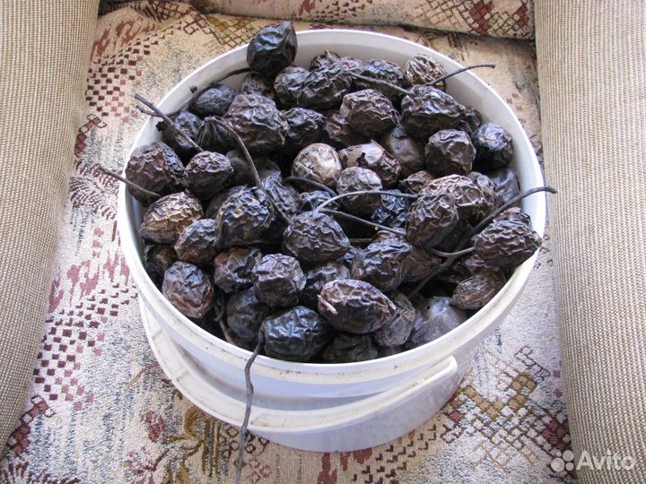 Плоды маньчжурского ореха