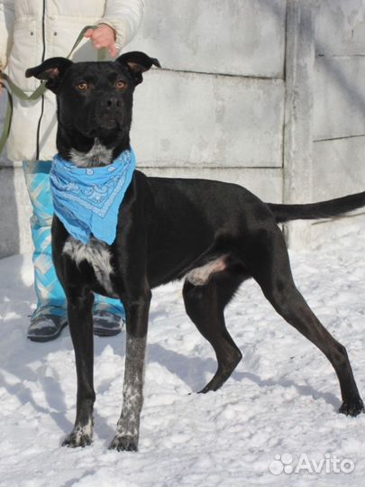 Витас ждет свою любящую семью в приюте