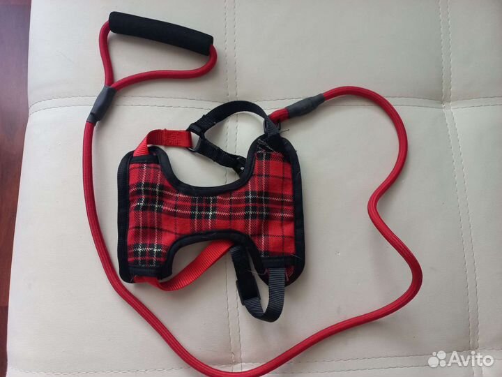 Шлейка для кота, для маленькой собаки