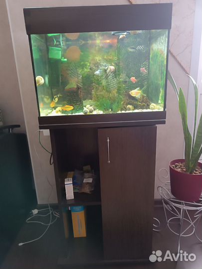Аквариум с тумбой