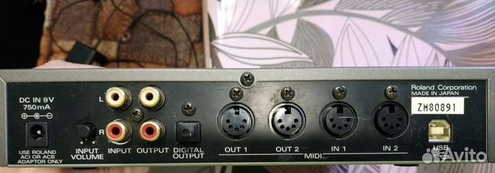 Roland Audio Canvas UA-100