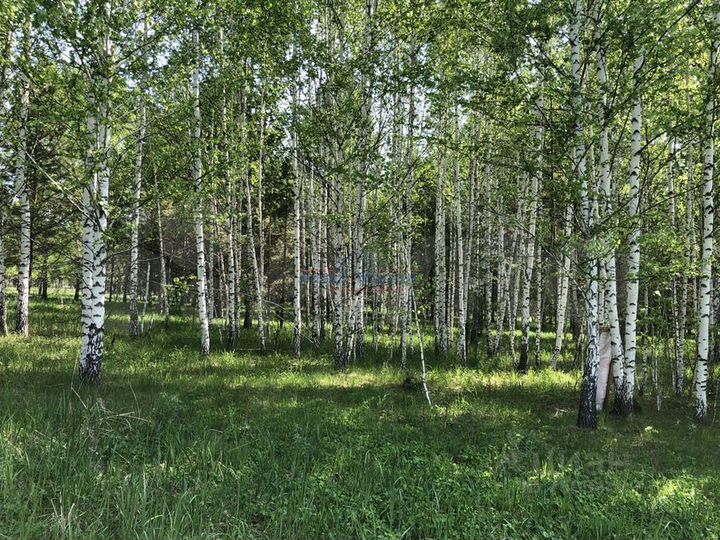 Участок 21,19 га (СНТ, ДНП)