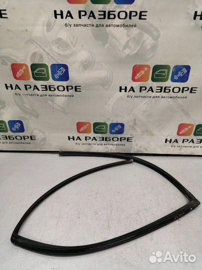 Уплотнительная резинка стекла двери задняя правая