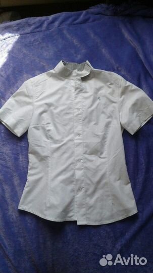 Экипировка для конного спорта