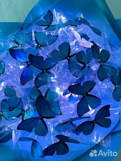 Букеты из бабочек светящиеся