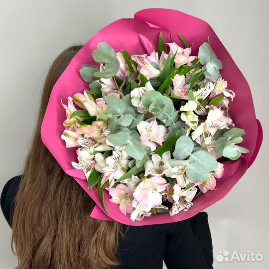 Альстромерия Альстромерии