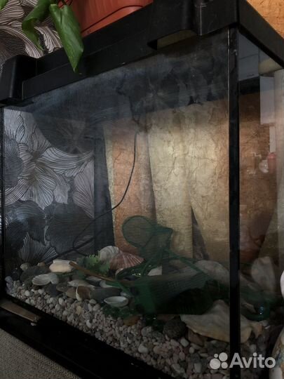 Аквариум