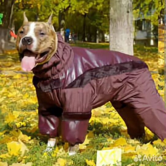 Комбенизон бронь