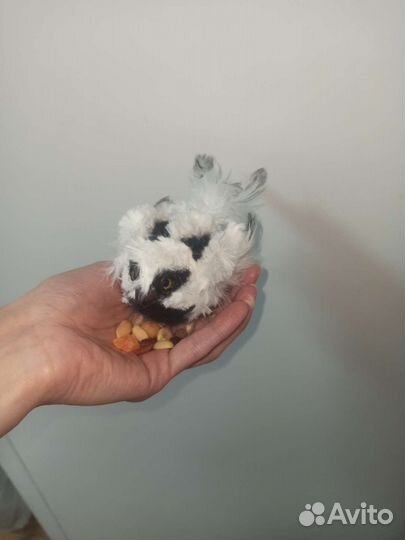 Птица игрушка ручной работы