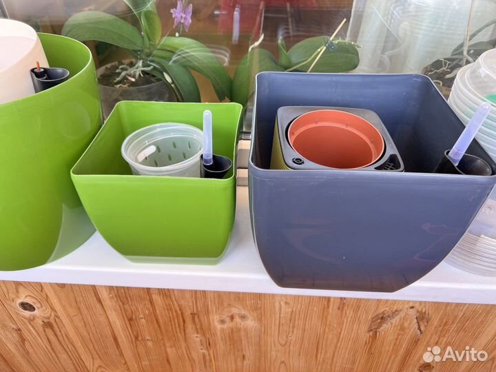 Инвентарь для растений