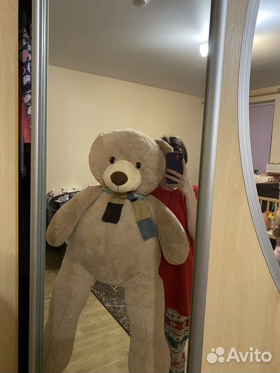 Плюшевый медведь