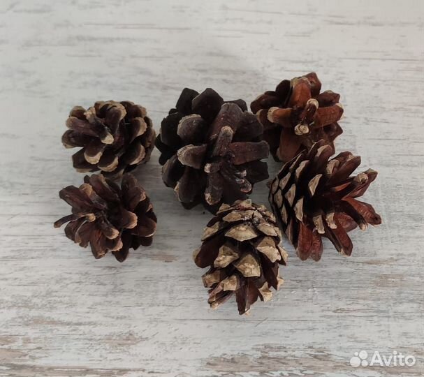 Товары для творчества