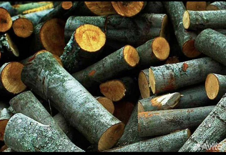 Дрова чурками, берёза, берёза