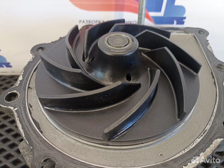 51065007049 Насос водяной (помпа) Man TGA